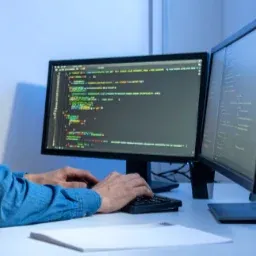 Website developer