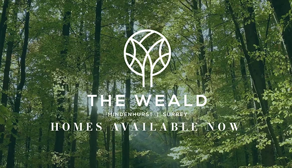 the wealdwebsite